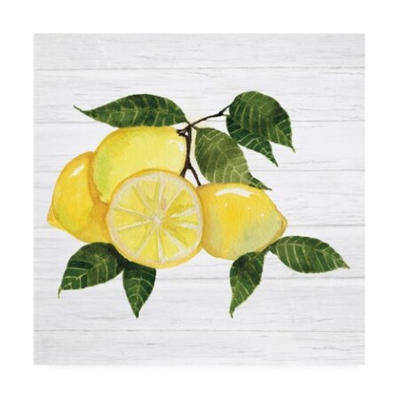 Trademark Fine Art Kathleen Parr McKenna 'Citrus Garden VI Shiplap' Canvas Art, 24x24 WAP11498-C2424GG